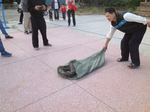 �����������һ�����������Ѱ�򡱱���ץ��